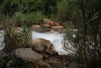 Rocks by lake in forest
