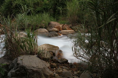 Slow speed water flowing with green grass background and big rocks