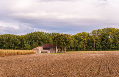 Scenic view of agricultural field against sky