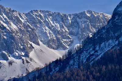 Scenic view of forest and snowcapped mountains against sky