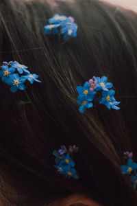 Close-up of woman with flowers