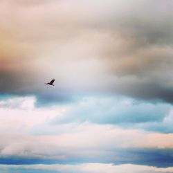 Low angle view of bird flying against cloudy sky