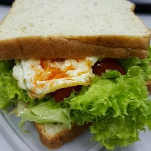 Close-up of food in plate