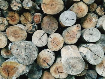 Full frame shot of logs