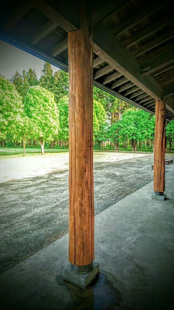 tree, empty, wood - material, absence, tranquility, built structure, bench, sunlight, growth, day, nature, architectural column, no people, park - man made space, water, wood, wooden, shadow, indoors, column