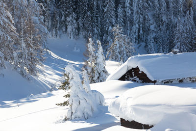 Austrian countryside with a lot of fresh snow. snow capped wooden hut and snowy forest
