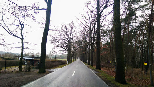 Road amidst bare trees against sky