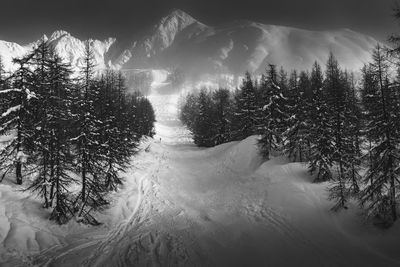 A wintry fog descending over the tree lined black run in les arcs