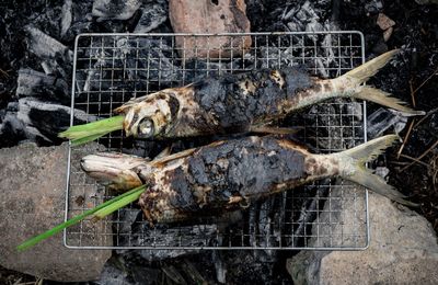 View of crab on barbecue grill