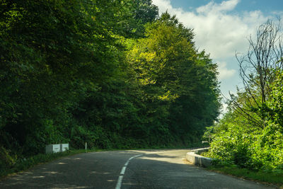 Road amidst trees against sky