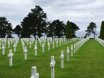 View of trees on hill against cloudy sky