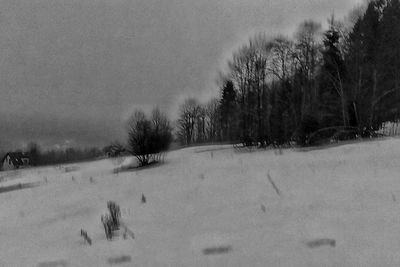 Bare trees on snow field against sky