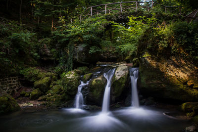 Scenic view of waterfall in forest