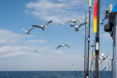 Seagulls flying over sea against sky