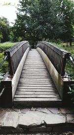 Steps amidst trees