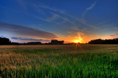 Scenic view of field against sky during sunset