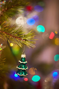 Close-up of illuminated christmas tree