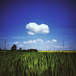 Scenic view of field against cloudy sky