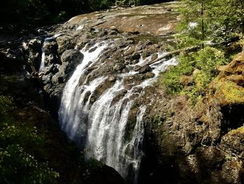 Scenic view of waterfall in forest