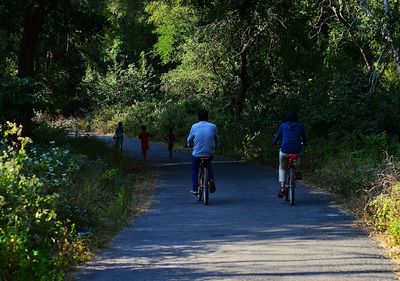 Rear view of people riding bicycle on road