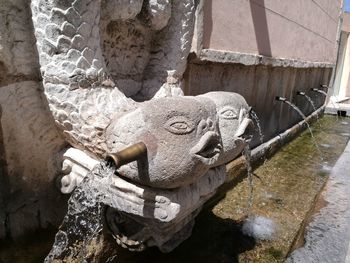 Close-up of statue against water