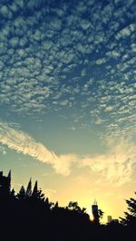 Low angle view of silhouette trees against sky