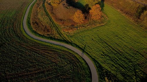 High angle view of agricultural field