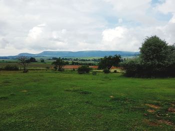 Scenic view of field against sky