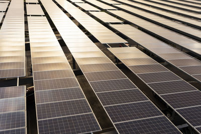 Flatly solar panels or solar cell with sun reflection above parking places outdoor, renewable