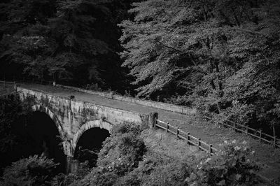 High angle view of bridge amidst trees in forest