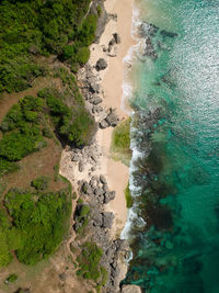 Aerial view of sea shore