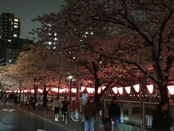 People in city at night