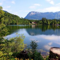 Scenic view of lake by trees against sky