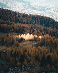 High angle view of trees on landscape against sky