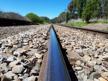 Railroad track amidst trees against clear sky