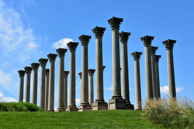 Architectural columns from the old dc capitol building at the arboretum.