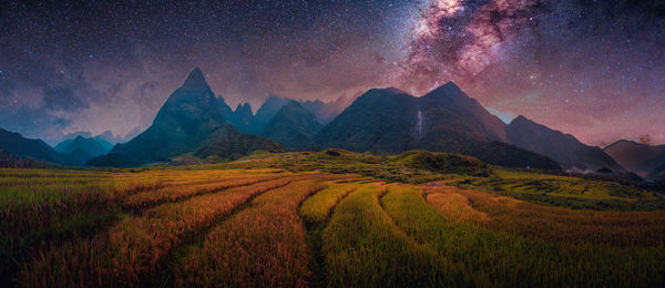 Scenic view of field against sky at night