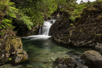 Scenic view of waterfall in forest