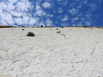 Surface level of land against sky