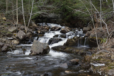 Scenic view of waterfall