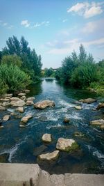 River flowing through forest