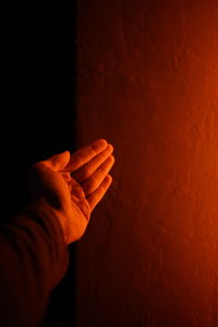 Close-up of hand holding orange leaf