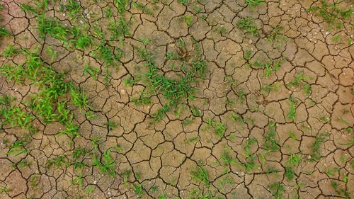 Full frame shot of cracked land