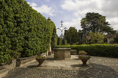 Statue against trees and plants against sky