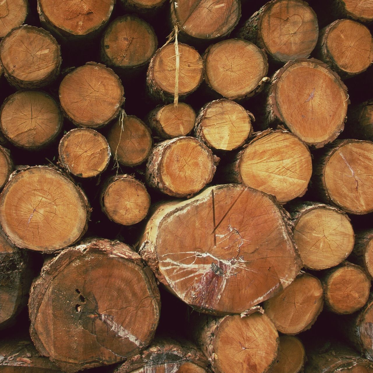 firewood, log, deforestation, lumber industry, large group of objects, stack, abundance, wood - material, timber, full frame, backgrounds, environmental issues, fossil fuel, fuel and power generation, textured, brown, heap, pile, woodpile, wood