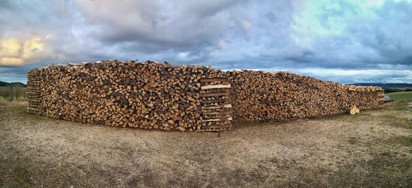 Stacked firewood in dramatic landscape