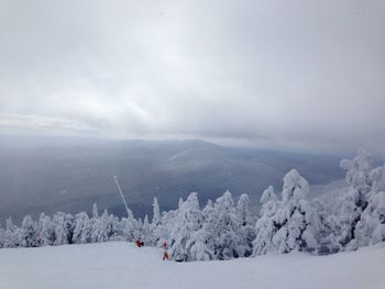 Snow covered trees against cloudy sky