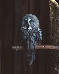 Close-up of bird on water