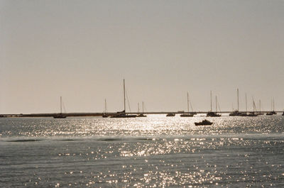 Sailboats in sea against clear sky