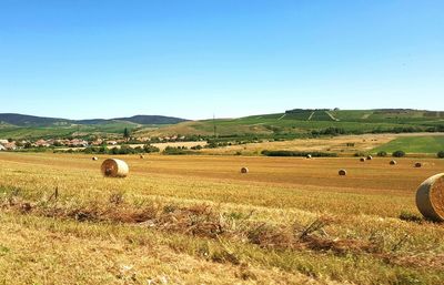 Hay bales on agricultural field against clear blue sky